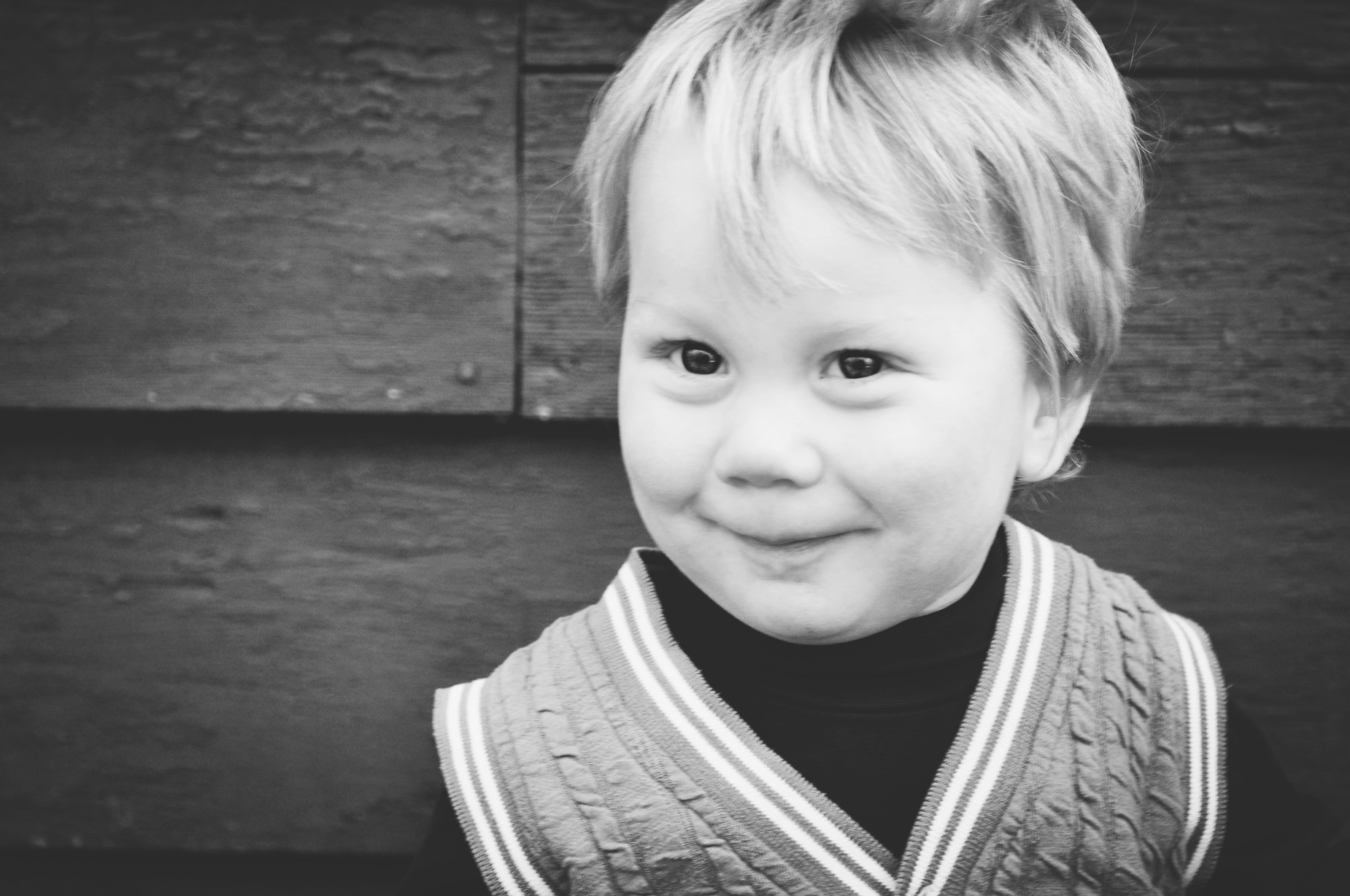 2015 Christmas Letter Purity And Truth